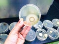 Microorganisms were grown in a plate of agar medium.