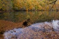 Yedigoller National Park Autumn Landscape, orange and green leaves, fall trees and lake