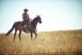 Yeeha. Full-length portrait of a mature man on a horse out in a field. Royalty Free Stock Photo