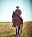 Yeeha. Full-length portrait of a mature man on a horse out in a field. Royalty Free Stock Photo