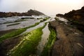 Yehliu Geopark, Taiwan. Royalty Free Stock Photo