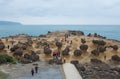 Yehliu Geopark in Taiwan