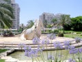 Or Yehuda Neve Savyon 2005