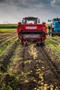 Yekaterinburg, RUSSIA - August 23, 2018: Agricultural machinery in a potato field Royalty Free Stock Photo