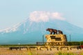 Yelizovo, Russia - July 17, 2018: Monument She bear with the cub on the background of the Koryaksky Volcano.
