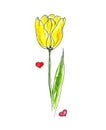 Yelllow Tulip doodle watercolor and pink small hearts