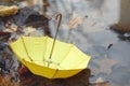 Yello umbrella in a poddle with autumn fall leaves. Autumn concept Royalty Free Stock Photo