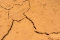 Yelloow cracked dry earth texture Royalty Free Stock Photo