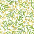 Yellow abstract flowers and green branches of leaves. Spring seamless pattern. Plants in transparent style. Watercolor Royalty Free Stock Photo