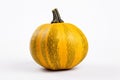 The yellow acorn squash is isolated on a white background. Royalty Free Stock Photo