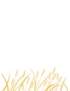 Yellow african savanna grass flat vector illustration on white background vertical design Royalty Free Stock Photo