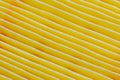 Yellow air filter for car engine Royalty Free Stock Photo