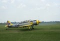 Yellow aircraft, raw