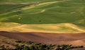 Yellow Airplane Green Wheat Fields Palouse Royalty Free Stock Photo