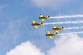 Yellow airplanes of Canadian Harvard Aerobatic Team