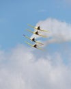 Yellow airplanes of Canadian Harvard Aerobatic Team Royalty Free Stock Photo