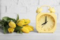 Yellow alarm clock and beautiful tulips on white wooden table against brick wall. Spring time Royalty Free Stock Photo