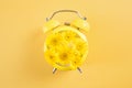 Yellow alarm clock with daisies instead of a dial. Royalty Free Stock Photo