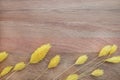 Yellow Amaranths flowers on wooden background with copy space Royalty Free Stock Photo