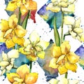 Yellow amaryllis. Seamless background pattern. Fabric wallpaper print texture.