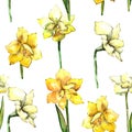 Yellow amaryllis. Seamless background pattern. Fabric wallpaper print texture.