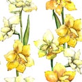 Yellow amaryllis. Seamless background pattern. Fabric wallpaper print texture.