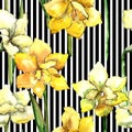 Yellow amaryllis. Seamless background pattern. Fabric wallpaper print texture. Royalty Free Stock Photo