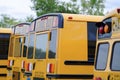 Yellow American Classic School Buses Royalty Free Stock Photo