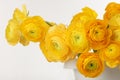 Yellow anemone flower bouquet