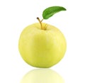Yellow apple fruit with leaf