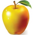 Yellow apple with green leaf