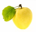Yellow apple with single green leaf Royalty Free Stock Photo