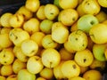 Yellow apples close-up. Farm for growing apples. Many apples. View from above