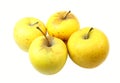 Yellow apples isolated on a white background. Royalty Free Stock Photo