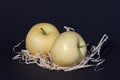 Yellow apples lie on wood shavings, photographed against a black background Royalty Free Stock Photo