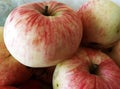 Yellow apples with pink stripes on the peel ripe