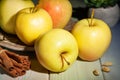 yellow apples on wood Royalty Free Stock Photo