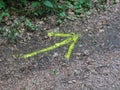 Yellow arrow on ground Royalty Free Stock Photo