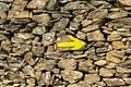 Yellow arrow on the old wall, direction indicator on the pilgrim routes The Way of Saint James