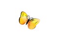 Yellow artificial butterfly flying isolated on white top view Royalty Free Stock Photo