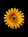 Yellow artificial flower