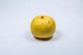 Yellow asian pear fruit on white background.