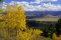 Yellow Aspens above mountain valley