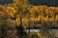 Fall colors in the mountains Royalty Free Stock Photo