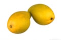 Yellow ataulfo mango Royalty Free Stock Photo
