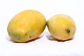 Yellow ataulfo mango