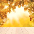 Yellow autumn background with white empty wooden table and fall oak leaves Royalty Free Stock Photo