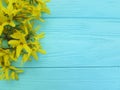 Yellow autumn bloom flowers natural season on a blue wooden background Royalty Free Stock Photo