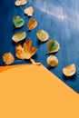 Yellow Autumn canvas background umbrella yellow leaves blue orange Royalty Free Stock Photo