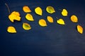 Yellow Autumn canvas background umbrella yellow leaves blue orange Royalty Free Stock Photo